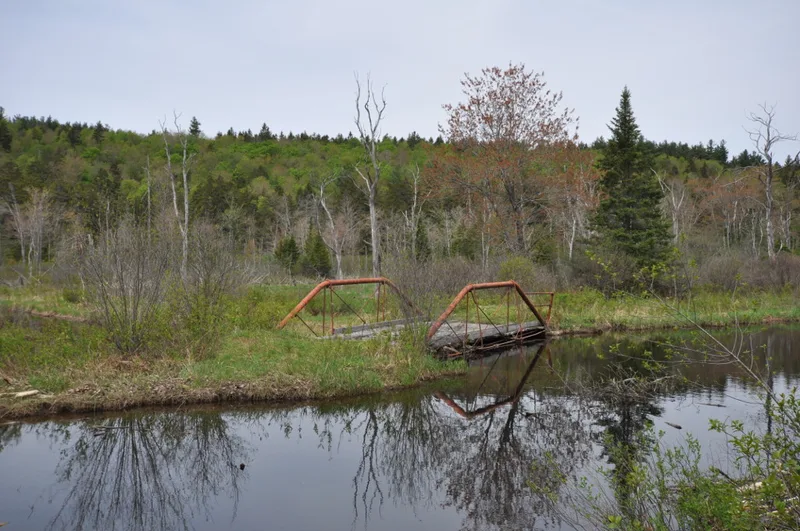 Coleman Bridge, Windosor, Massachusetts