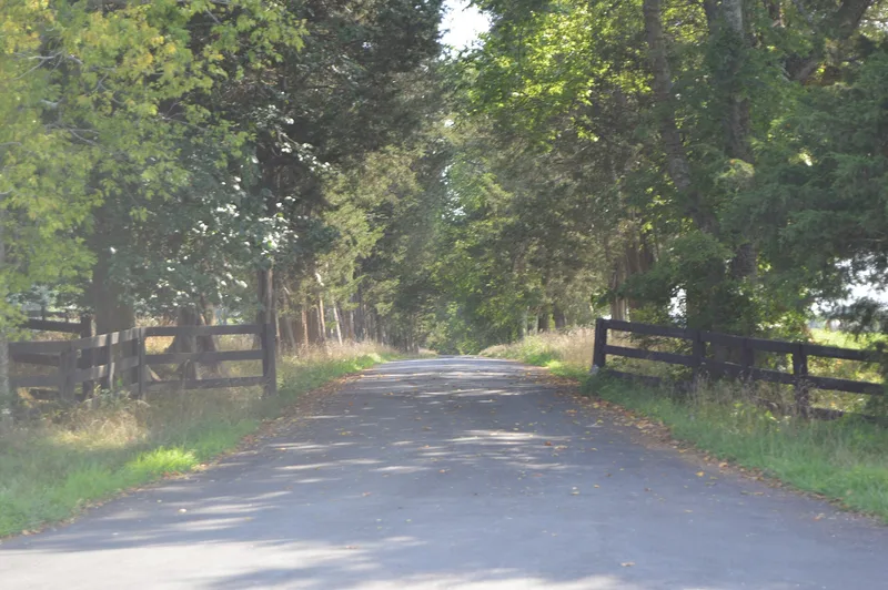 Ben Dover, Manakin-Sabot, Virginia