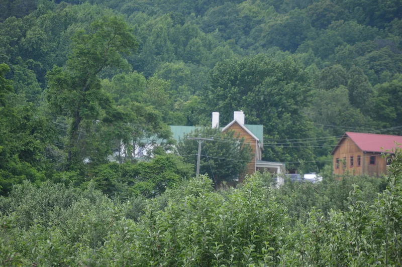 Bowman Farm, Boones Mill, Virginia