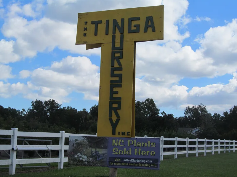 Tinga Nursery, North Carolina