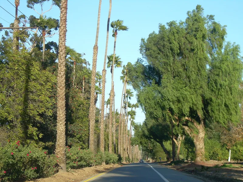 Victoria Avenue, Riverside, California