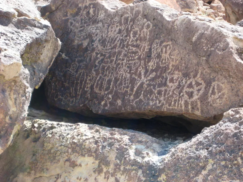 Chalfant Petroglyph Site, Bishop, California