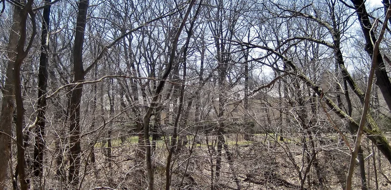 Ely, Mrs. C. Morse, House, Lake Bluff, Illinois
