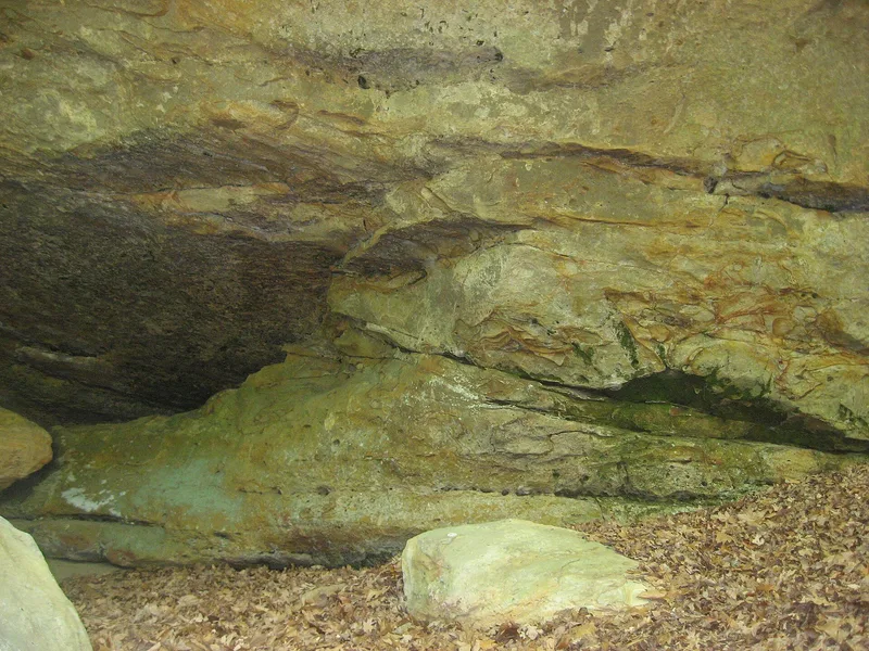 Piney Creek West Site, Campbell Hill, Illinois