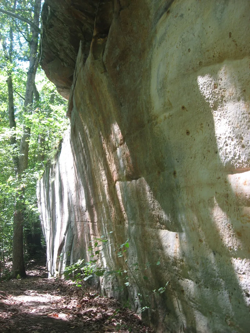 Piney Creek Site, Campbell Hill, Illinois