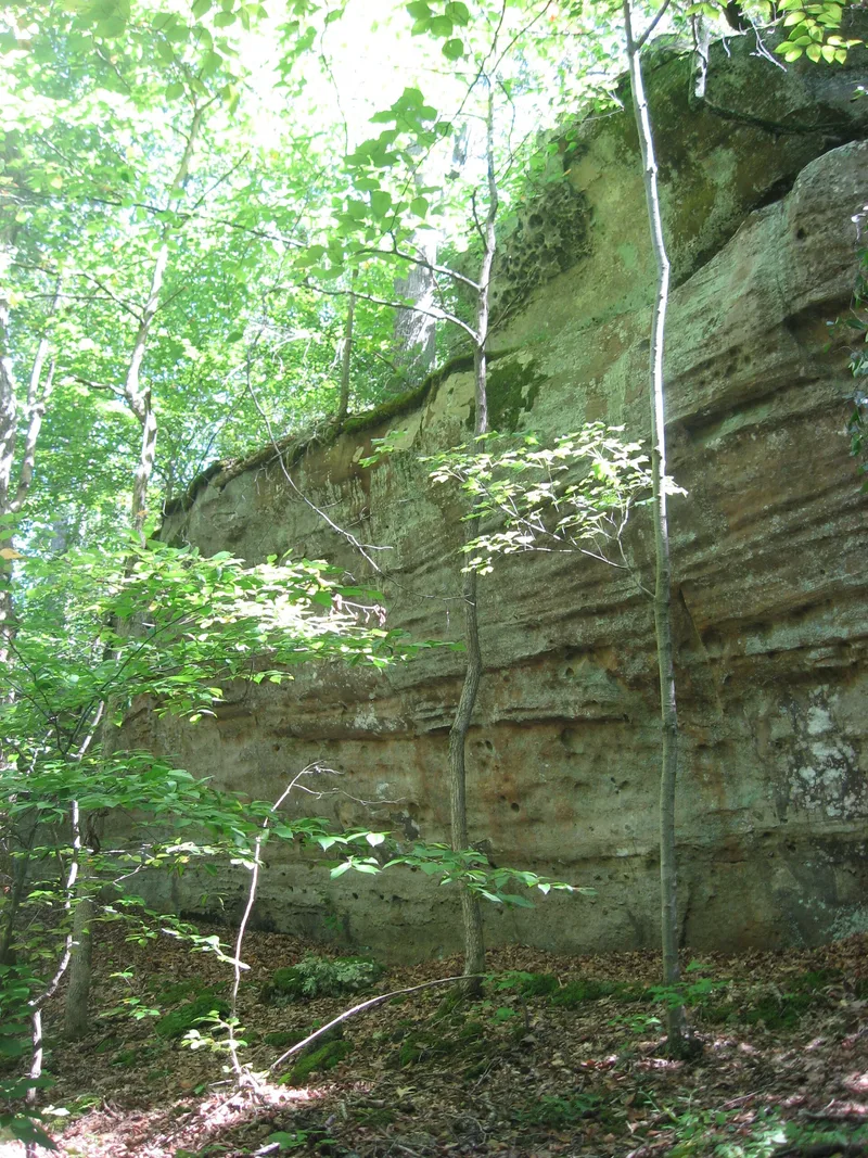 Piney Creek South Site, Campbell Hill, Illinois