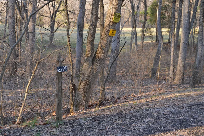 Rockwood, Montpelier Station, Virginia