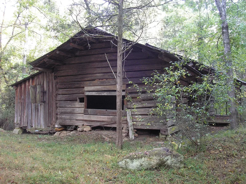 Carnes, John Thomas, Family Log House, Winston, Georgia