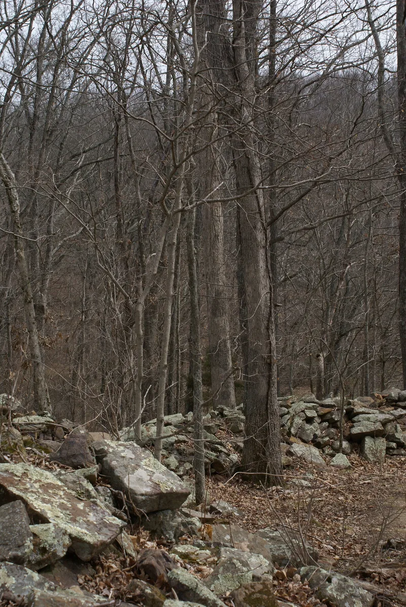 Giant City Stone Fort Site, Makanda, Illinois