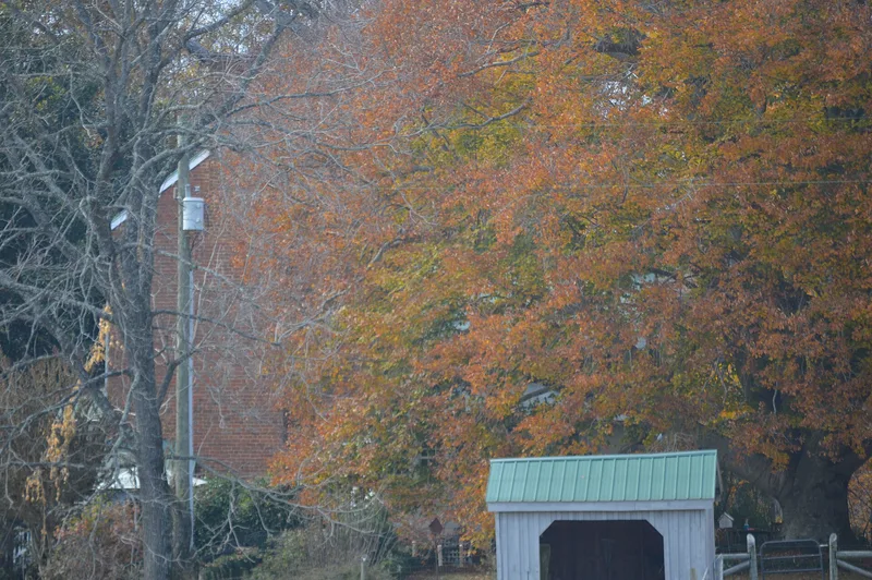 Maple Roads, Keysville, Virginia