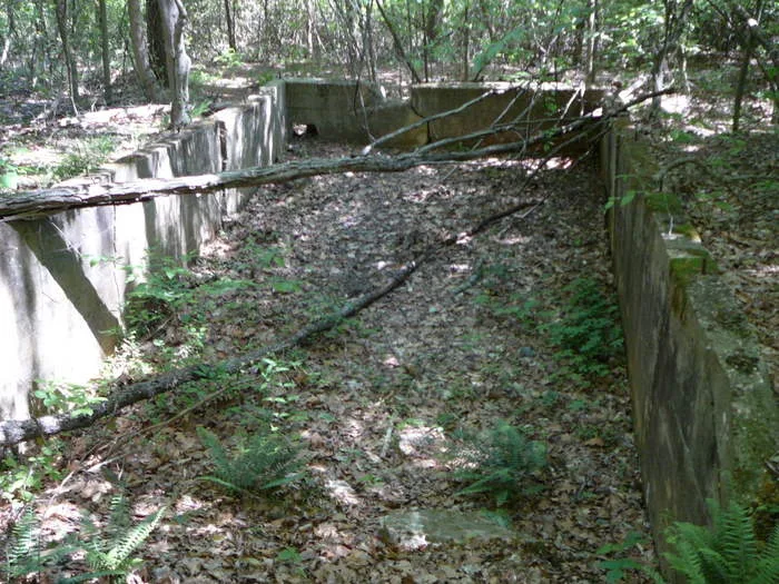 Cabin Branch Pyrite Mine Historic District, Virginia