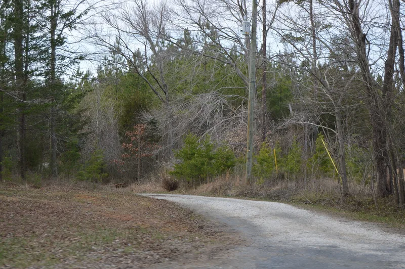 Gum Creek, Columbia, Virginia
