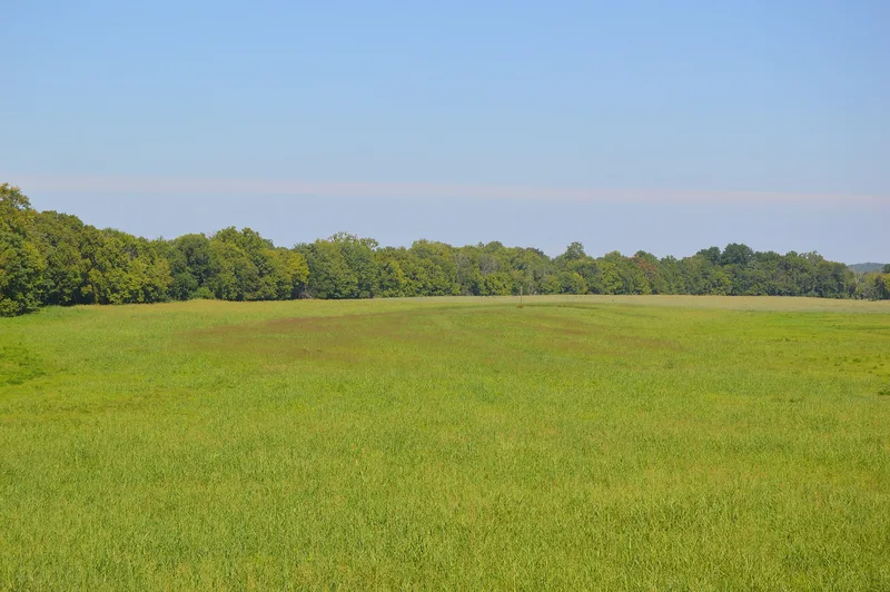 Wade Archeological Site (44CH0062), Randolph, Virginia