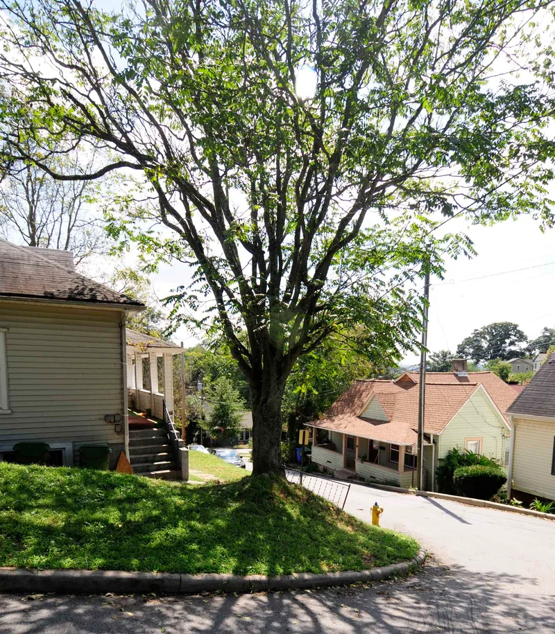 Clingman Avenue Historic District, North Carolina