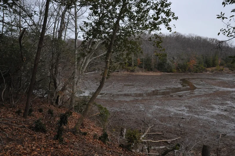 Taft Archeological Site #029-5411, Lorton, Virginia