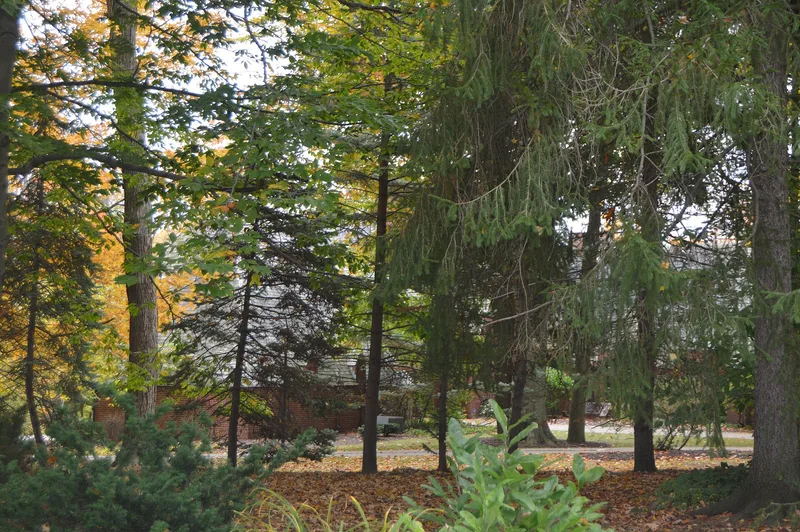 Purcell, Robert A. and Elizabeth H., House, Alliance, Ohio