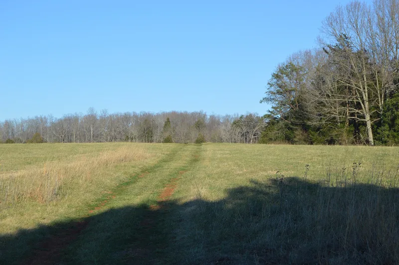 Tusculum, Amherst, Virginia