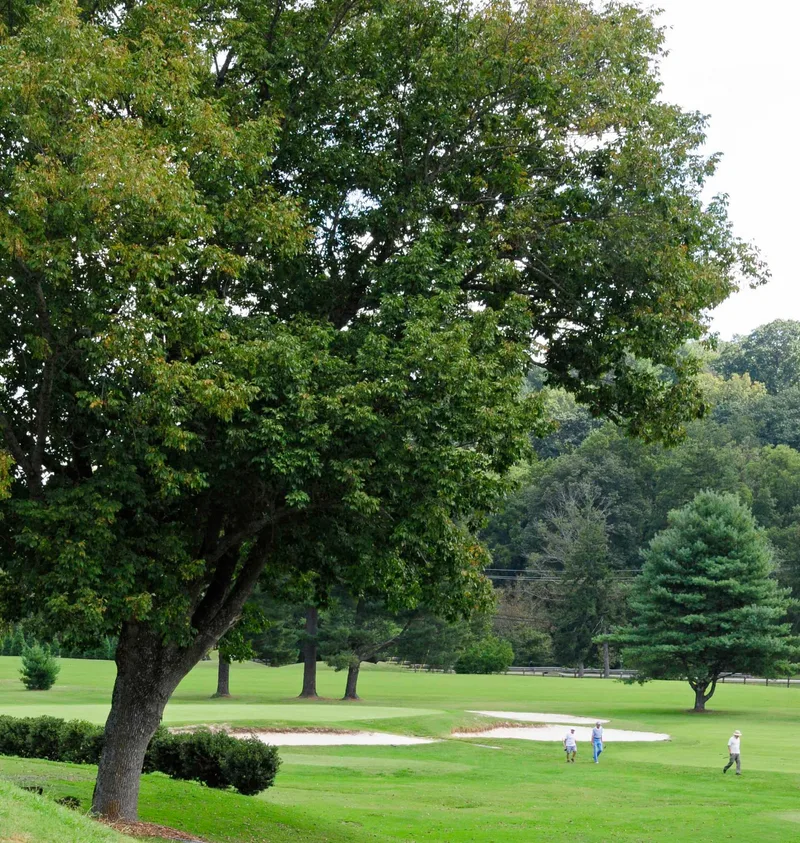 Municipal Golf Course, Asheville, North Carolina