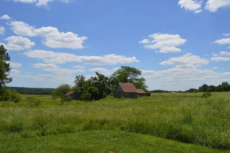New Philadelphia Town Site, Barry, Illinois
