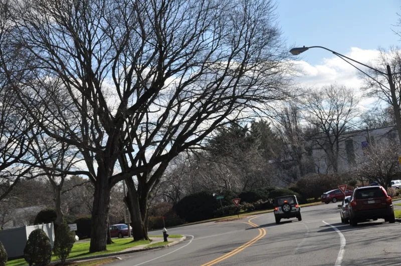 West Roxbury Parkway, Metropolitan Park System of Greater Boston, Massachusetts