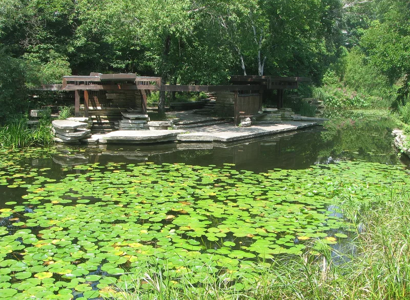Lincoln Park Lily Pool, Chicago, Illinois