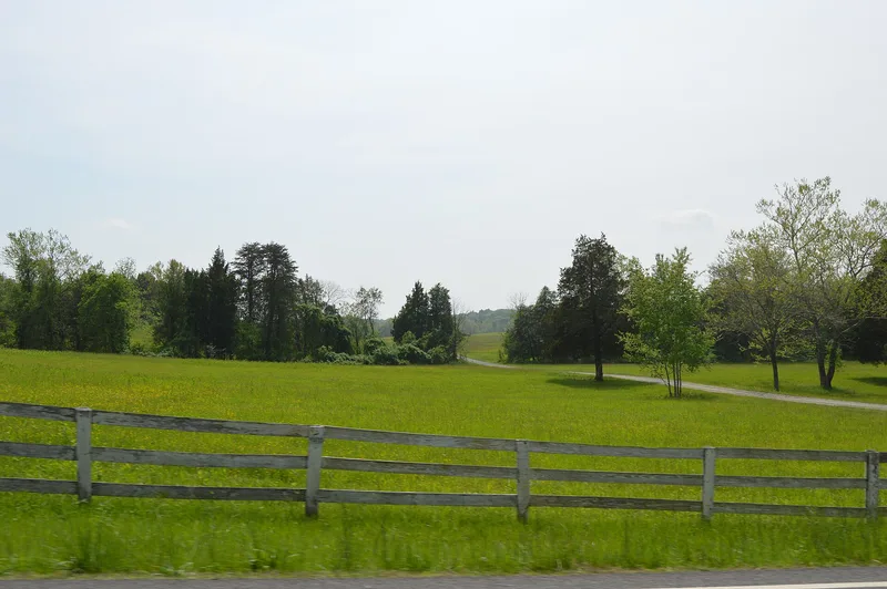 Limestone, Keswick, Virginia