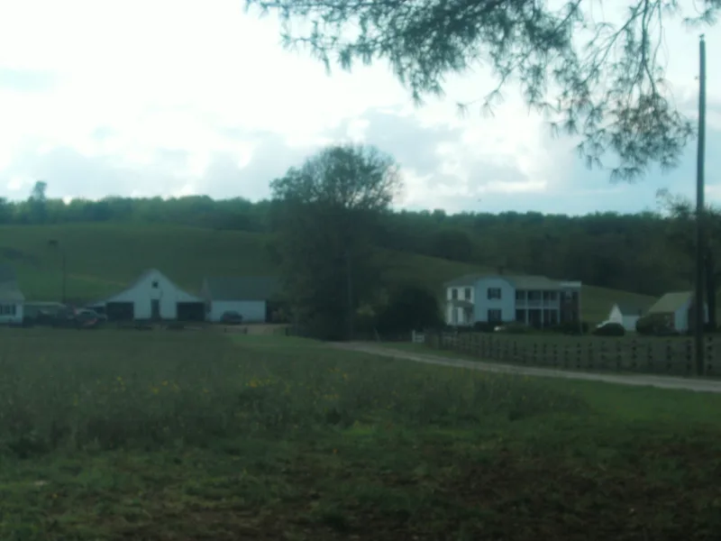 Meadow Grove Farm, Amissville, Virginia