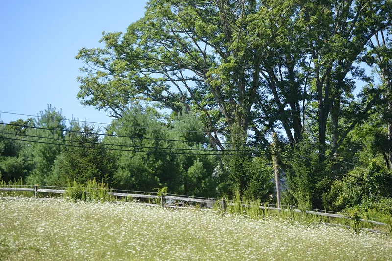 Yard, The, Hot Springs, Virginia