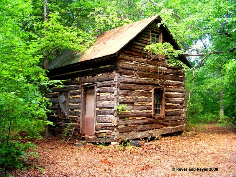 Sydnor, Patrick Robert, Log Cabin, Clarksville, Virginia