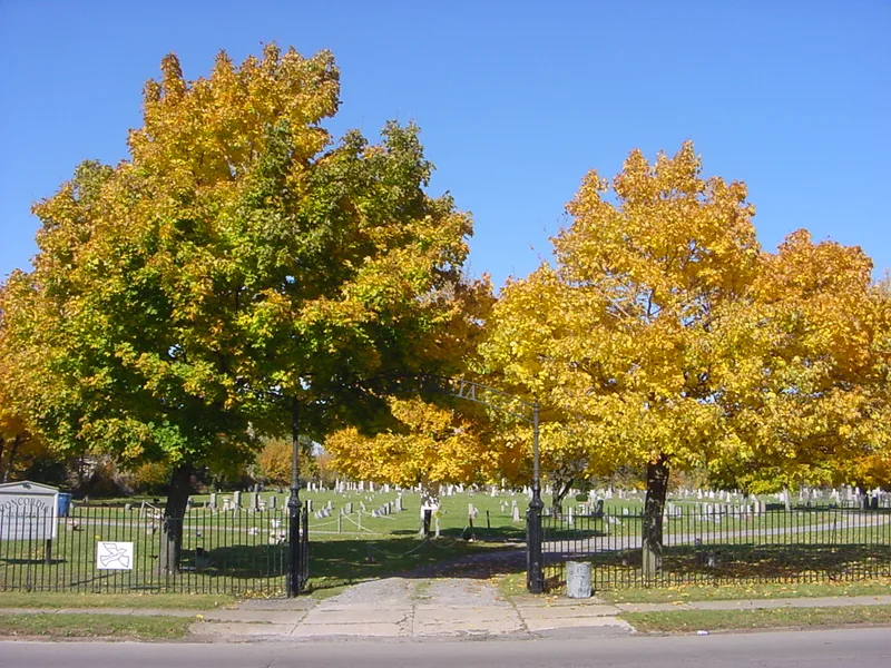 Concordia Cemetery, Buffalo, New York