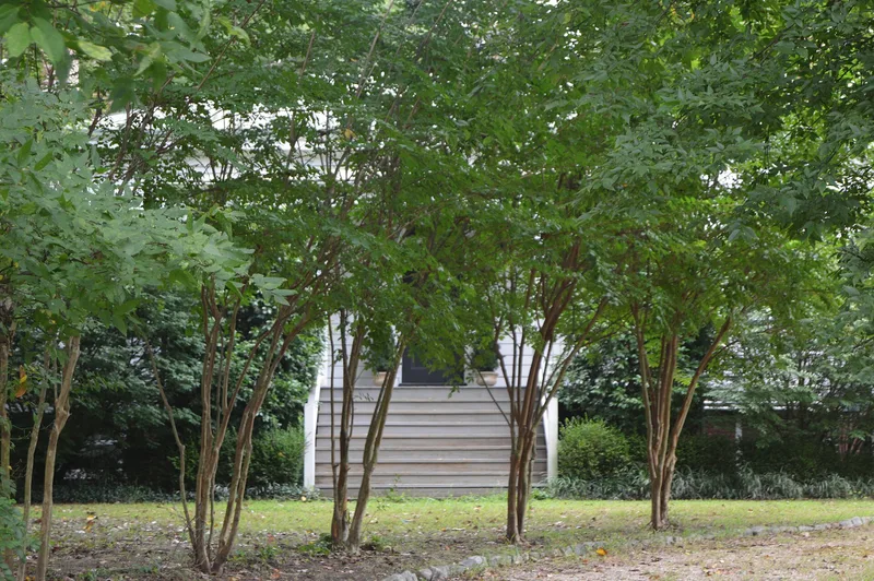 Edge Hill, Richmond, Virginia