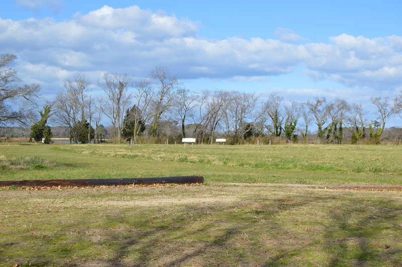 Arlington Archeological Site, Capeville, Virginia