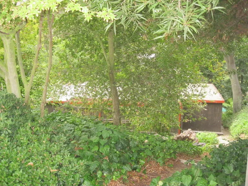 Norton, John, House, Pasadena, California