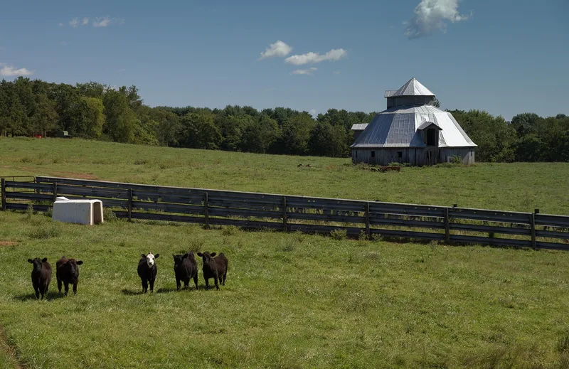 Hoffman Round Barn, Virginia