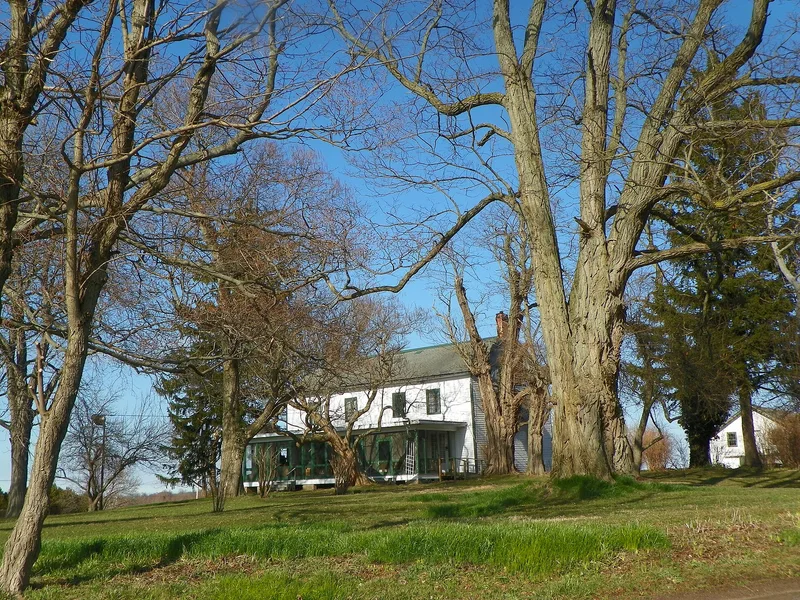 Alasa Farms, New York