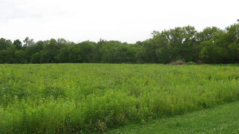 Chapman, John, Village Site, Hanover, Illinois
