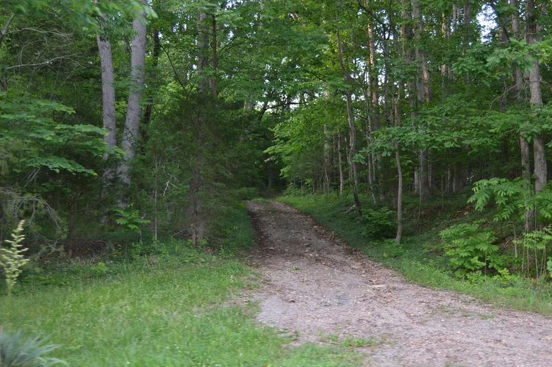 Caryswood, Evington, Virginia