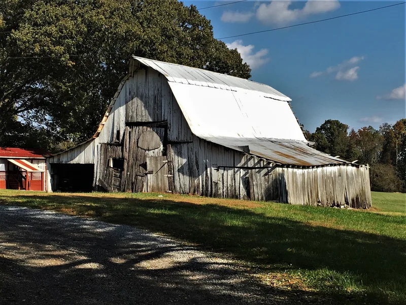 Bridges, John, Tavern and Store Site, Buncombe, Illinois