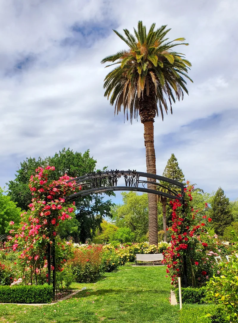 McKinley Park, Sacramento, California