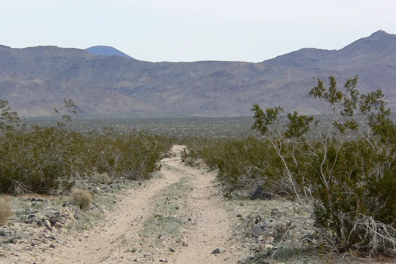 Mojave Road, California