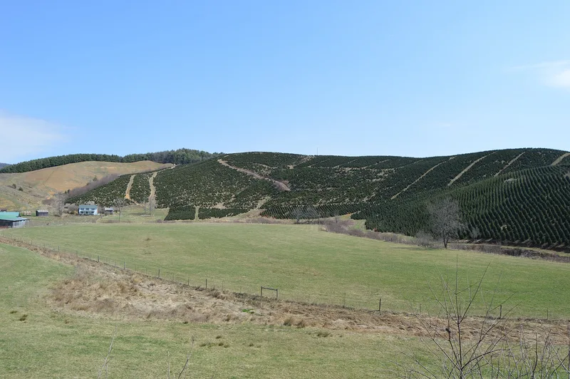 Spring Valley Rural Historic District, Virginia