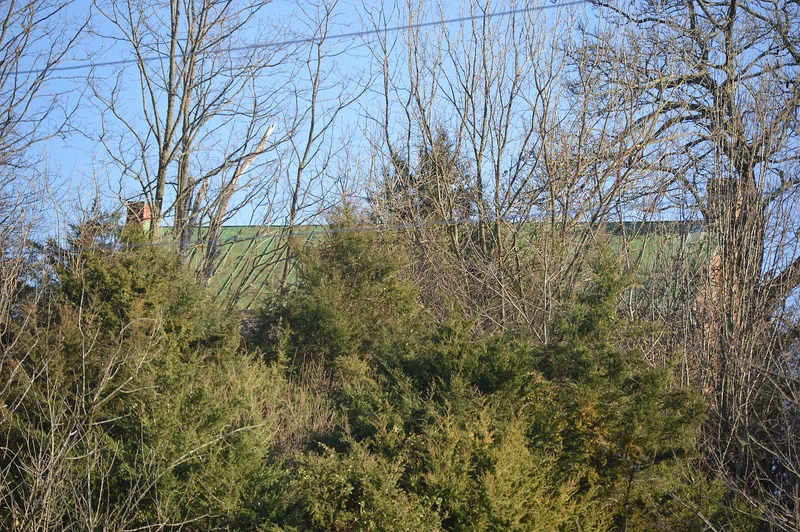 Mt. Airy, Verona, Virginia