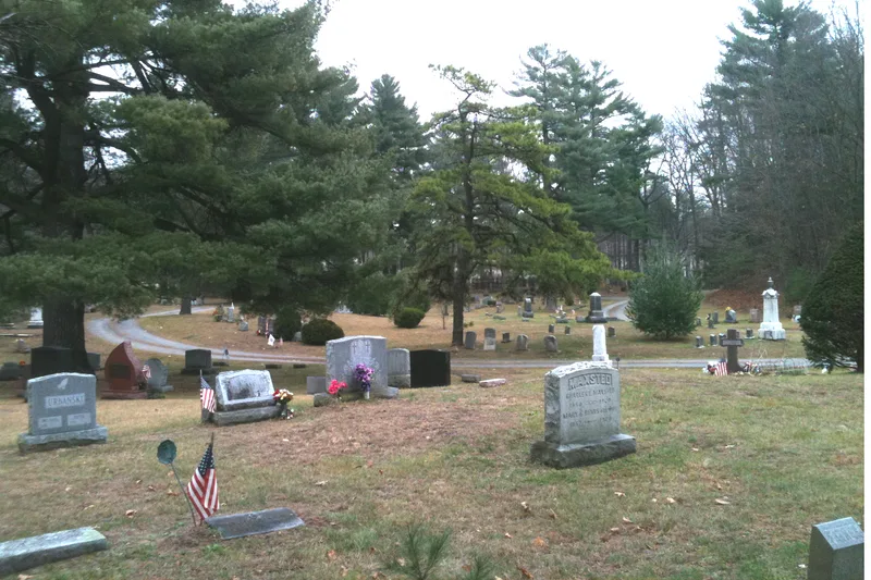 Jonesville Cemetery, Jonesville, New York