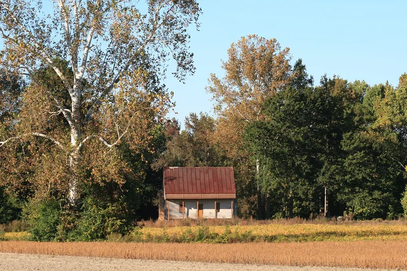 Carter-Simmons House, Albertson, North Carolina