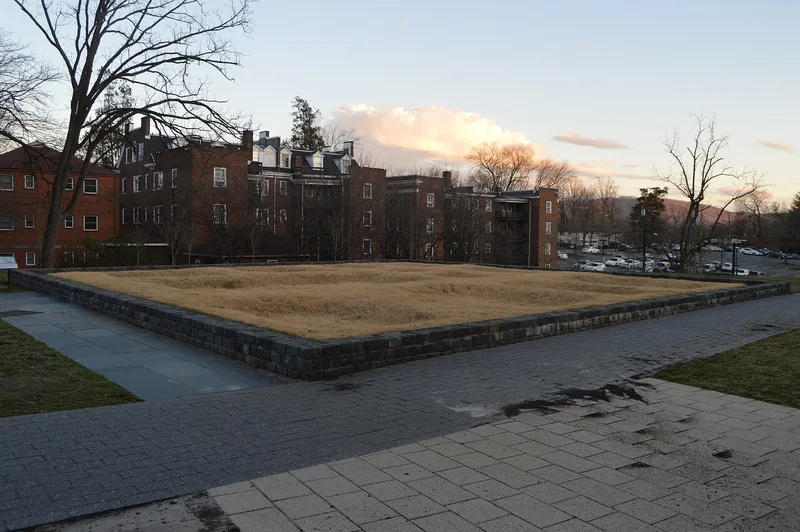 Foster Site, The, Charlottesville (Independent City), Virginia