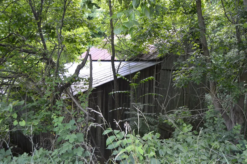 Reynolds Property, Buchanan, Virginia