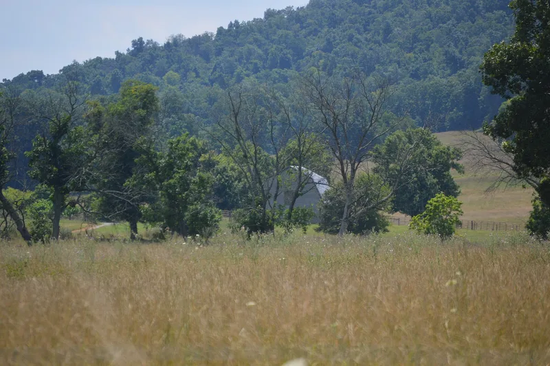 Springdale, Winchester, Virginia