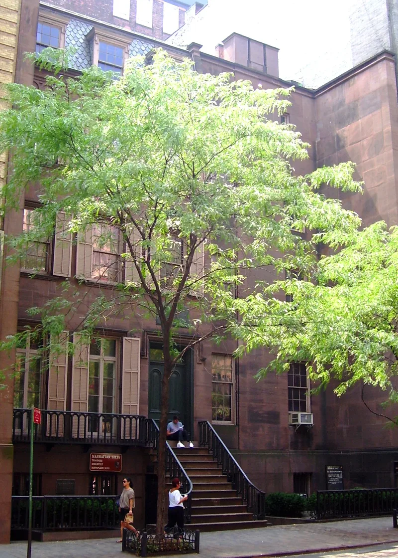Theodore Roosevelt Birthplace National Historic Site, New York, New York