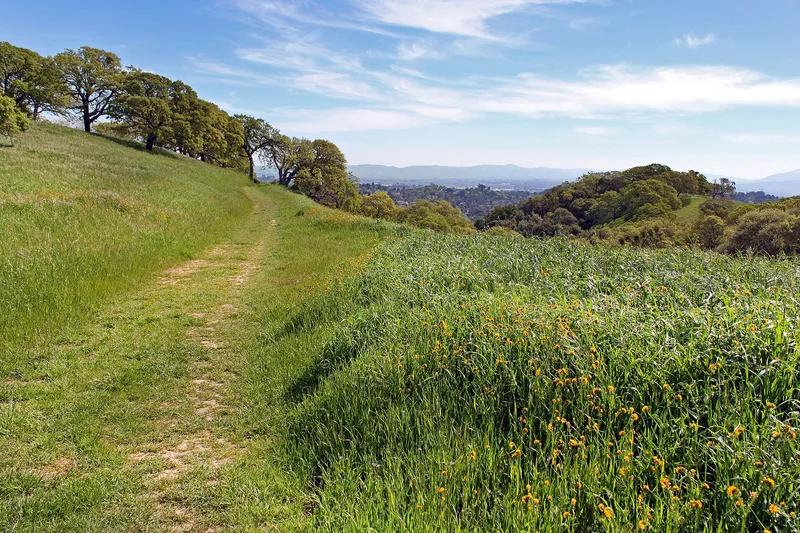 John Muir National Historic Site, Martinez, California
