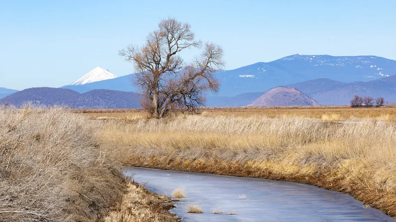 Lower Klamath National Wildlife Refuge, Dorris, California